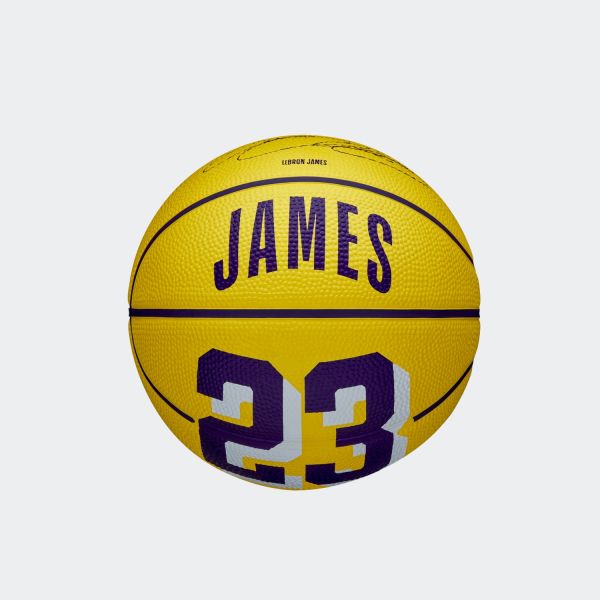 Wilson NBA Player Icon LeBron James Mini Basketball WZ4027701XB3
